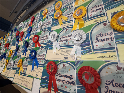 award ribbons display