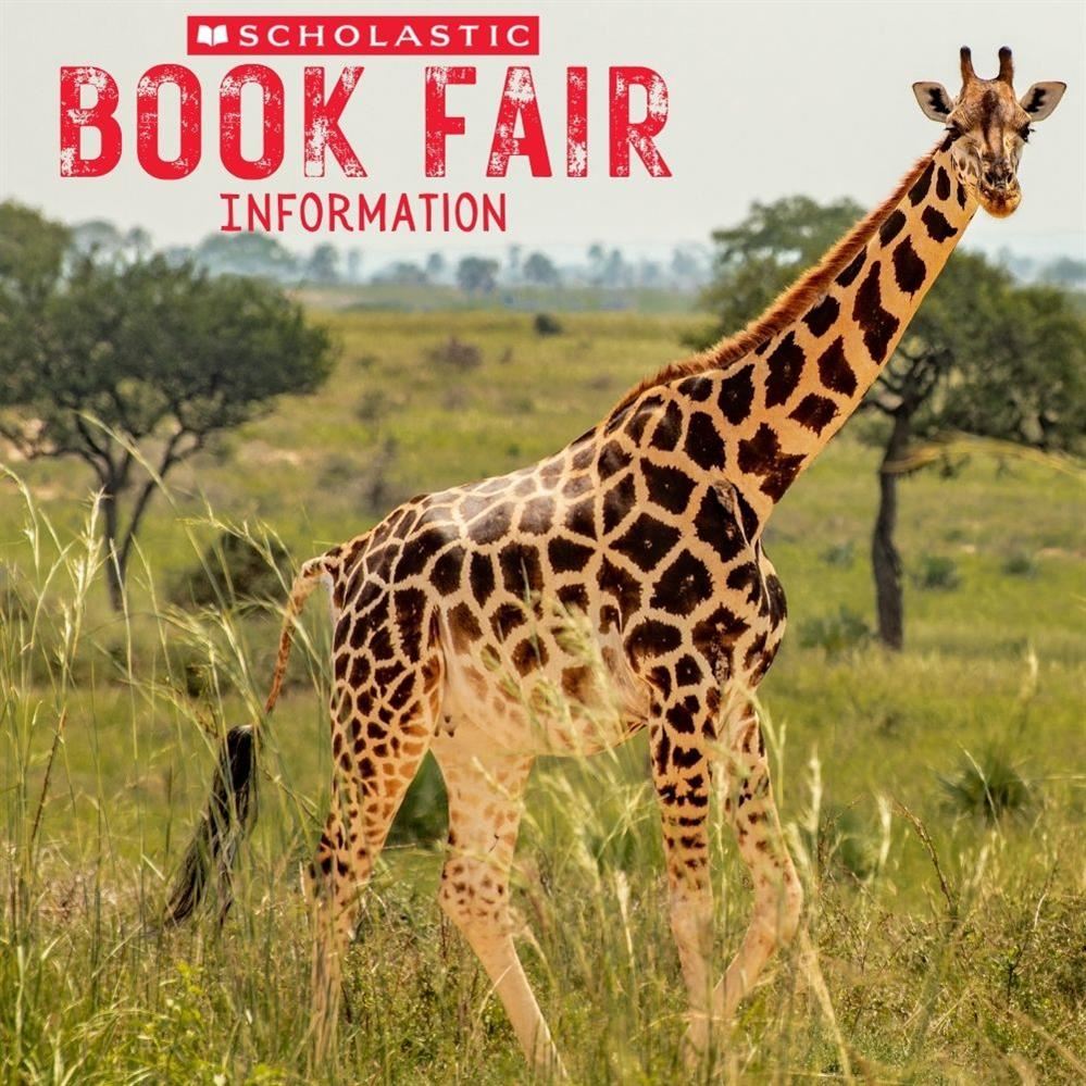  Book Fair