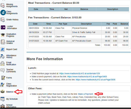online payment screenshot for reference